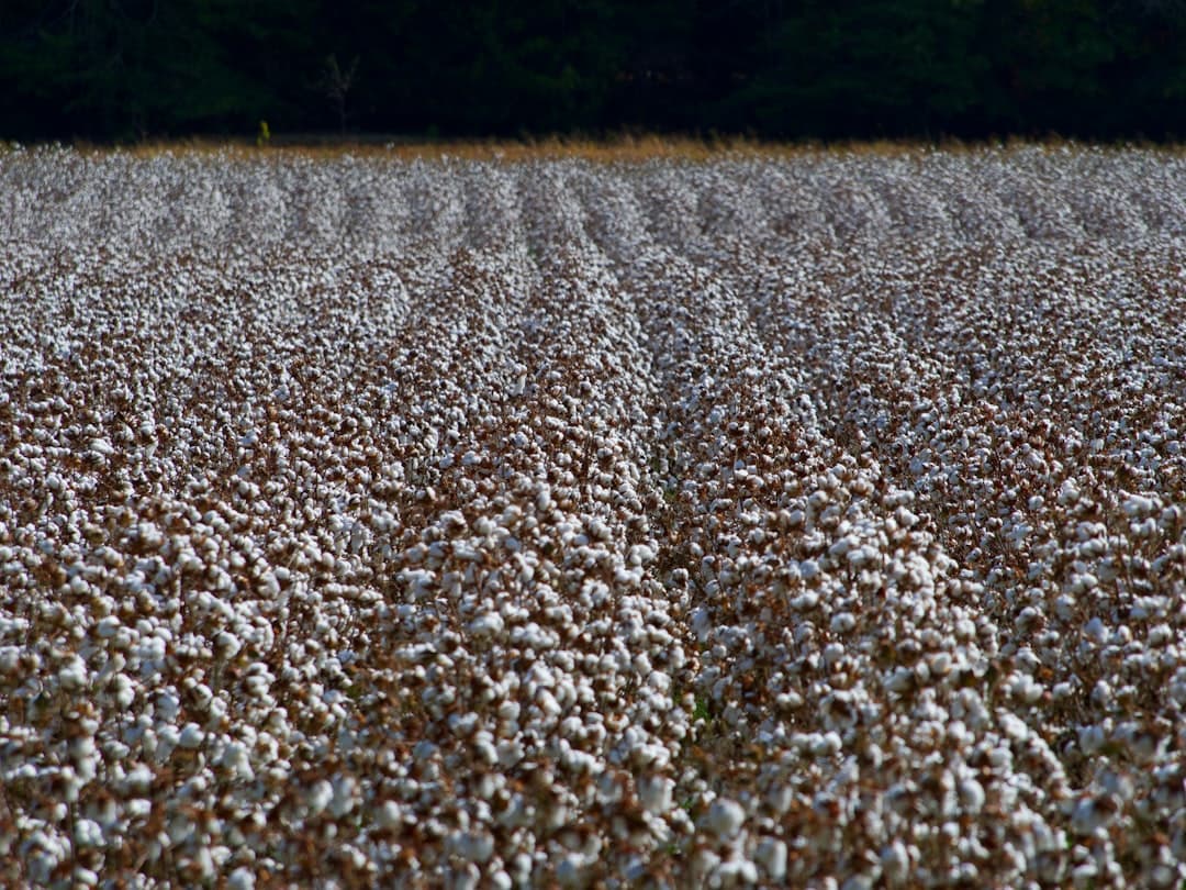 Precision Farming Impact