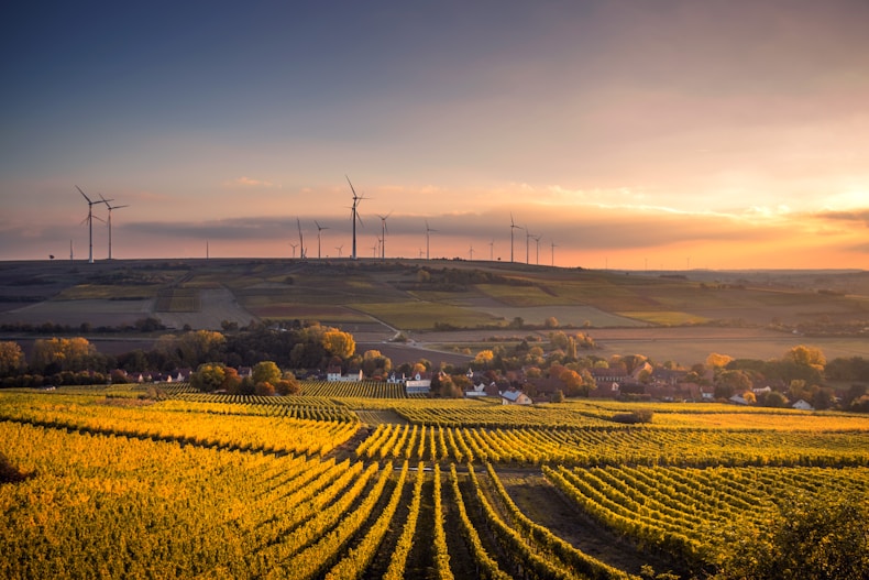 Digital Agriculture